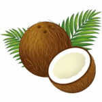 coconut-11528344700xkkugu4wnv-removebg-preview